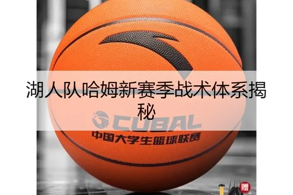 湖人队哈姆新赛季战术体系揭秘（huayuyule）